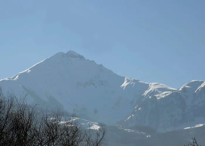 Otel Comfort Garni Gitti Zell am See